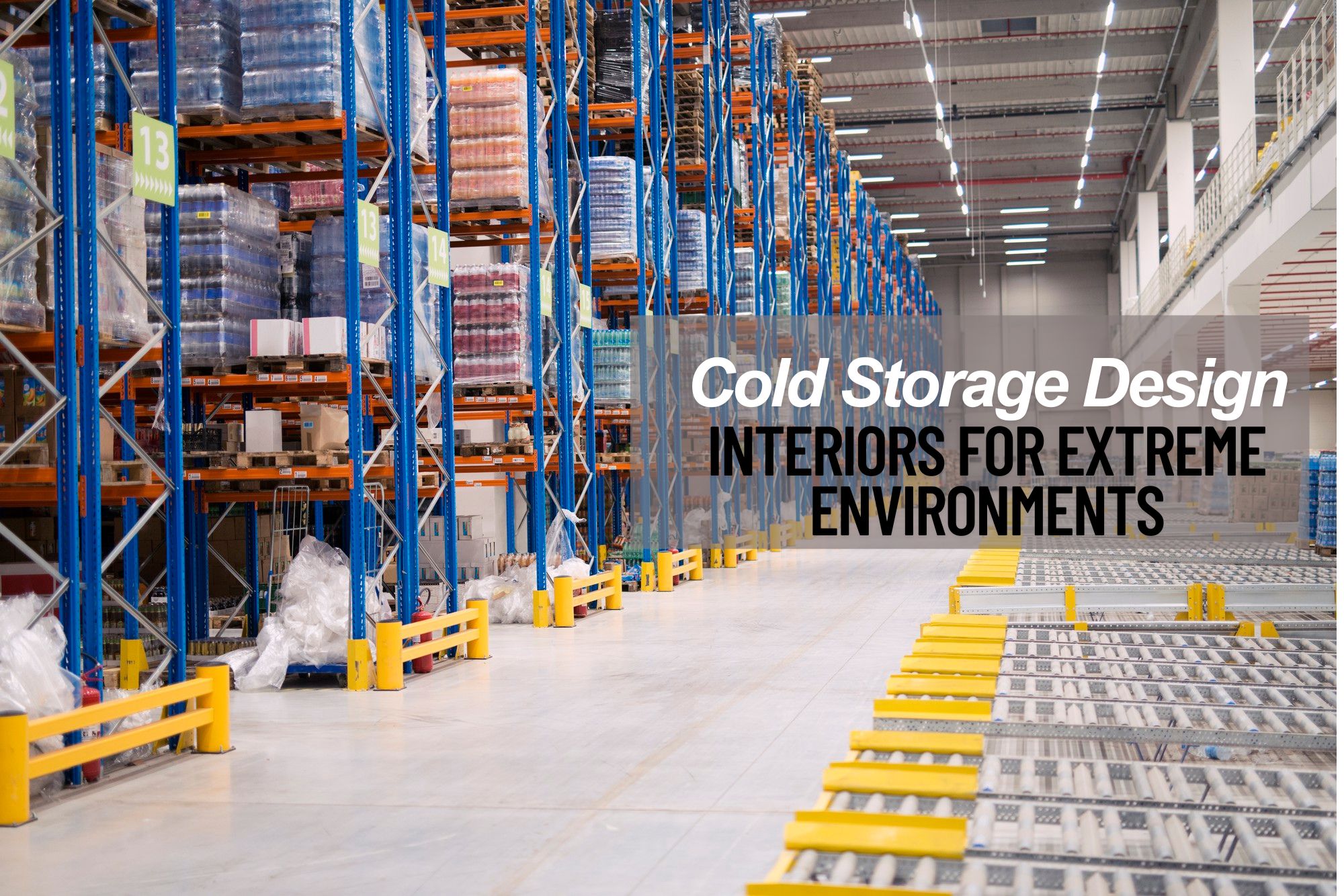 warehouse interior design for cold store in usa for factory owner, healthcare industry, food industry.